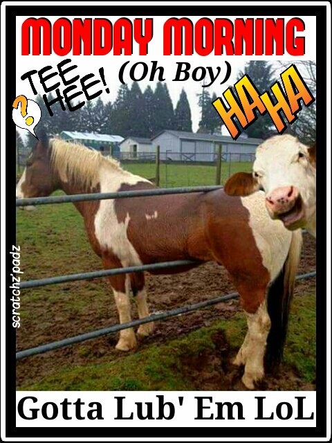 ScratchzPadz's tweet photo. #pixlr #scratchzpadz #mondaymorning #gottalubem #lubem #ohboy #teehehe #haha #lol #mondaygoright #monday #lmao https://t.co/JK2awIACyD