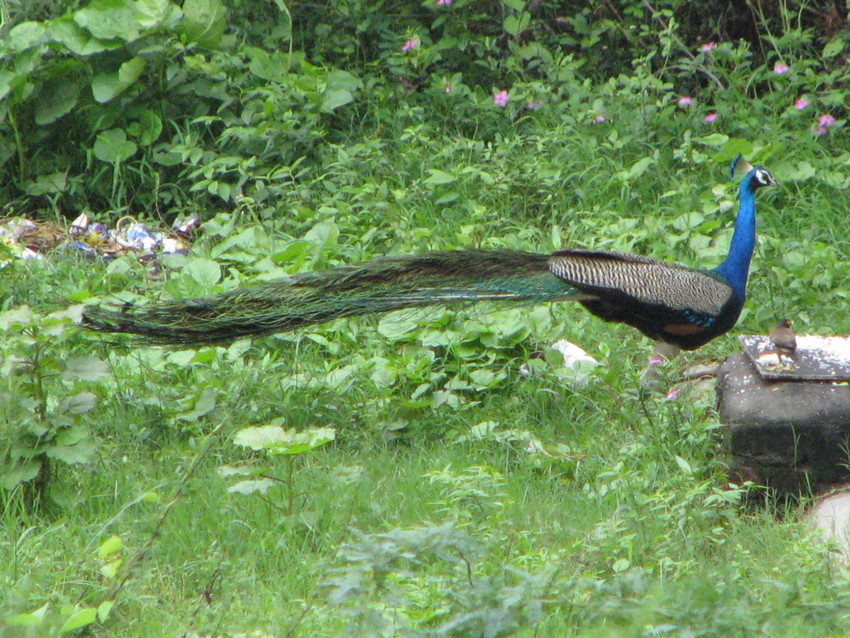 pmrkumar23's tweet image. 