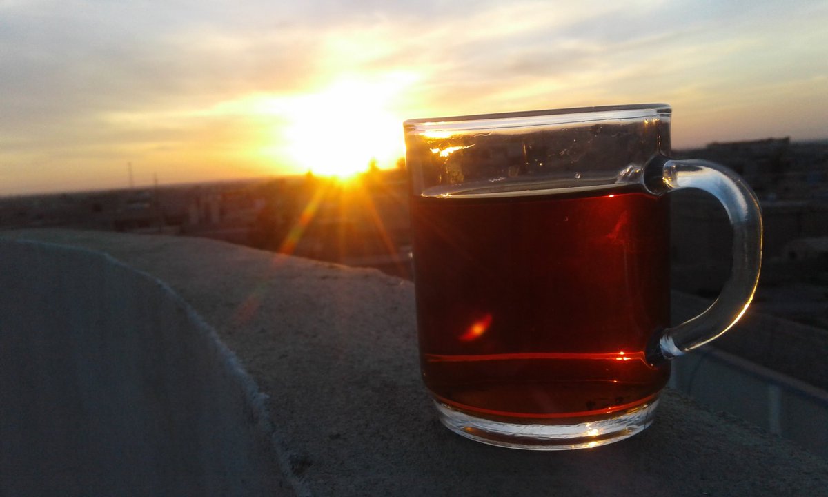 TereshShingal's tweet photo. Nothing beter than cup of tea in Khanasor.
لا شي ا فظل من كوب شاي في خانصور ارض المقاومة  - شنكال https://t.co/jvPWFLFb52