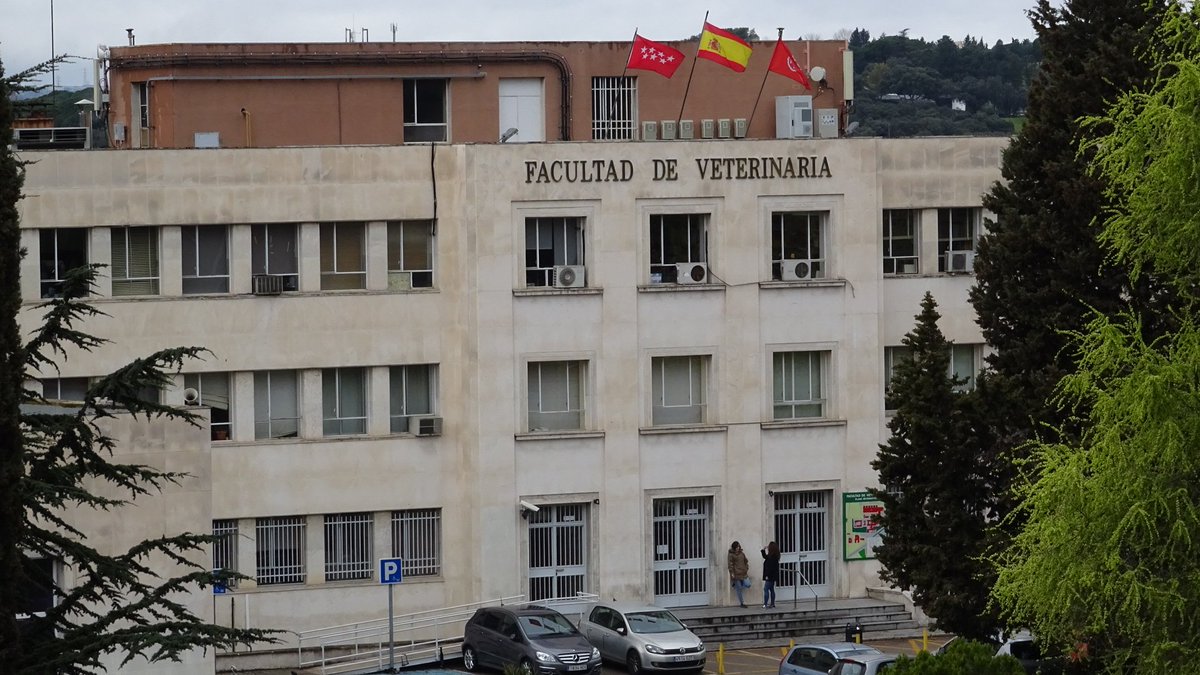 Semana crucial en <a href="/VeterinariaUCM/">FVeterinariaUCM</a> de <a href="/unicomplutense/">Complutense</a> 
Los inspectores de la #EAEVE nos visitan para renovar nuestra acreditación