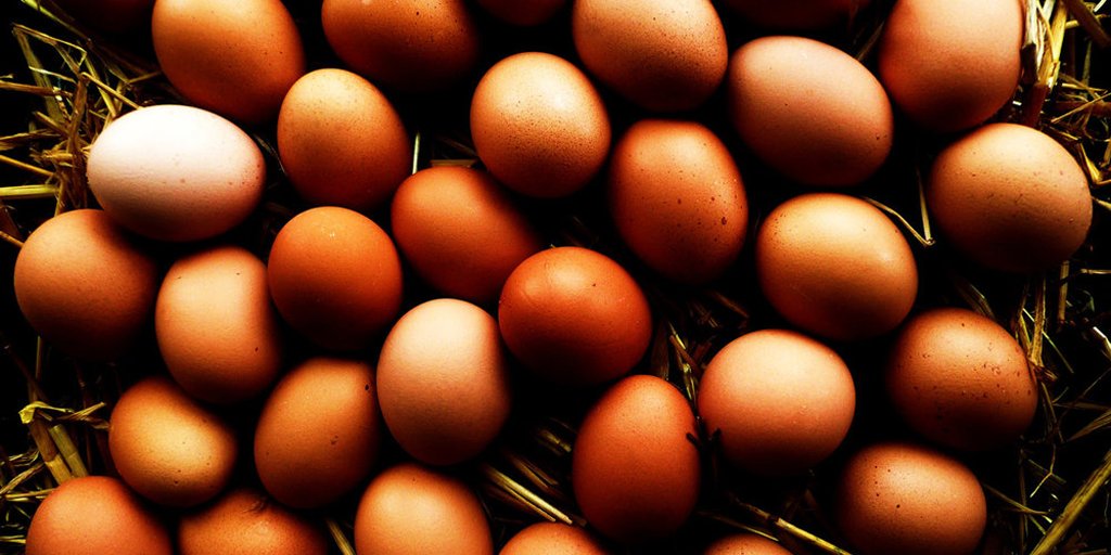 FatBustForever's tweet photo. It's time to stand up for eggs https://t.co/Gx53H3rXOf https://t.co/Yh4EFmP7Vg