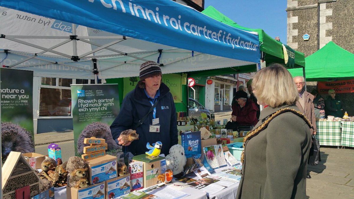 #Mayor chatting to @rspbconwy at #Conwy #SeedFair