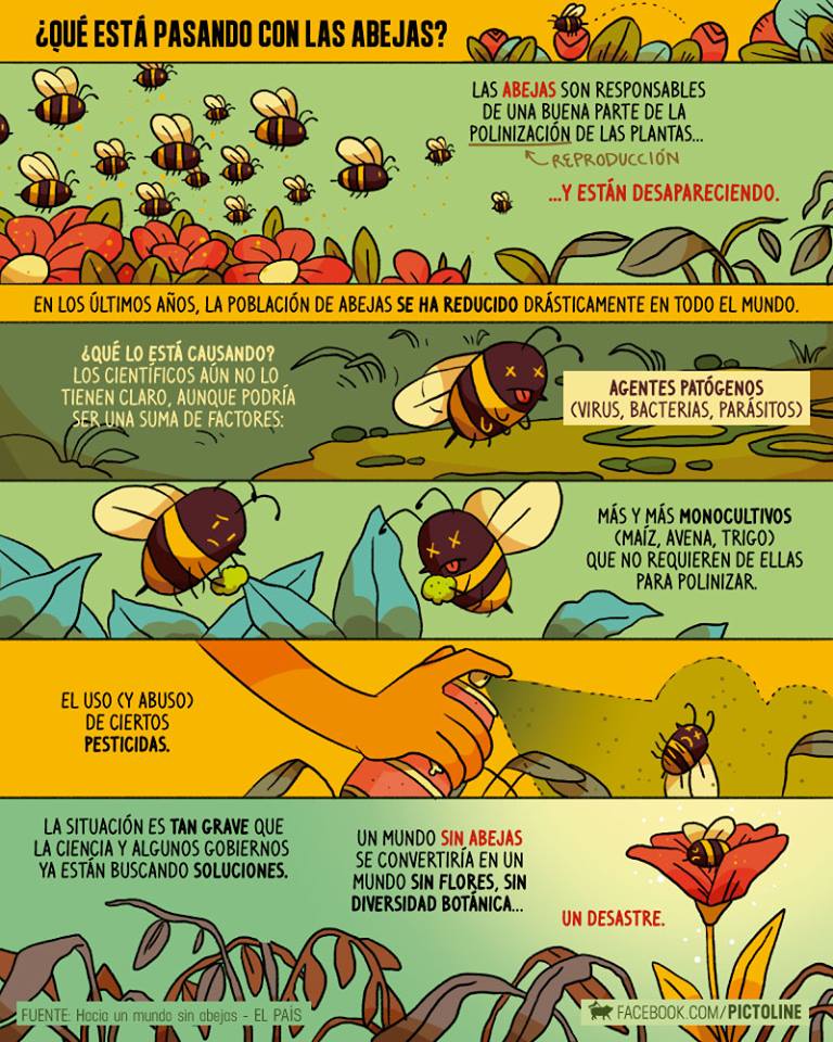 ¿Te imaginas la primavera sin flores? #SOSabejas, por un mundo con abejas.