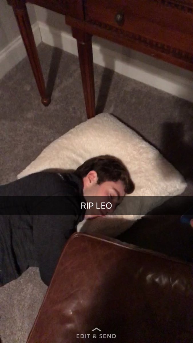 ArisTommy's tweet photo. happy birthday to this snakey snake ๐พ๐๐พ@LeoSpellacy #ssss #turkeymode https://t.co/4BA7Btx8w6