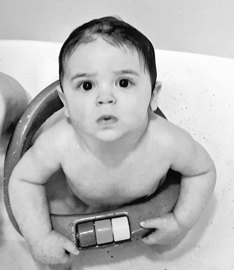 BTO34's tweet photo. Don't mess with baby g unit #babygeno #mylilbuddy https://t.co/YjQb6GQEkj