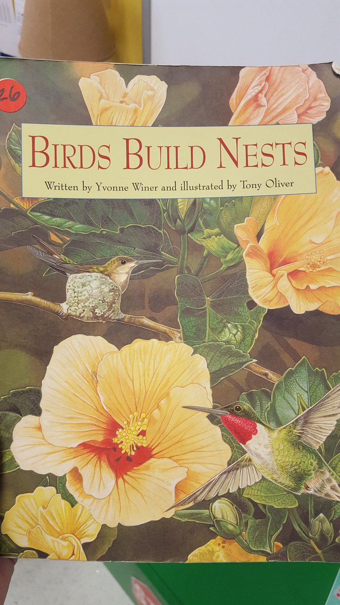 PreKTeacher22's tweet photo. What better way to learn about bird nests than to build your own!!! #ournewnormal @mrsmc_ees @DKS4PV @MadCoSchools @HomeoftheCubs https://t.co/pwd5G2wrjw