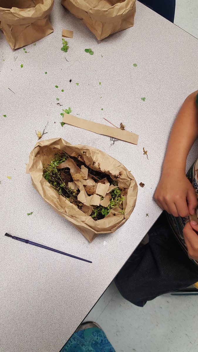 PreKTeacher22's tweet photo. What better way to learn about bird nests than to build your own!!! #ournewnormal @mrsmc_ees @DKS4PV @MadCoSchools @HomeoftheCubs https://t.co/pwd5G2wrjw