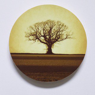 MyriadPhoto's tweet photo. If you love trees, you are going to be in for a treat if you visit my exhibition 7/8 April at @studio20norwich #Norwich  #trees #nature https://t.co/cok9ZHxdE9