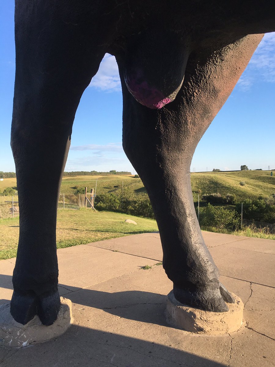 indianwhiteguy's tweet image. The Indian was not allowed to wear his leggings onto the flight. My culottes were fine.