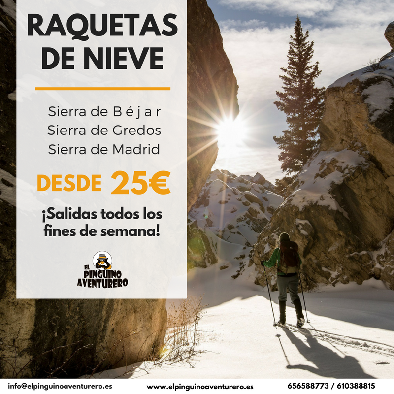 InfoPinguino's tweet photo. por aclamación climatológica ampliamos temporada de #raquetasdenieve en #gredos. No te lo puedes perder¡¡¡¡
 https://t.co/Ndxj6iOXmO https://t.co/jzY6i3eIHN