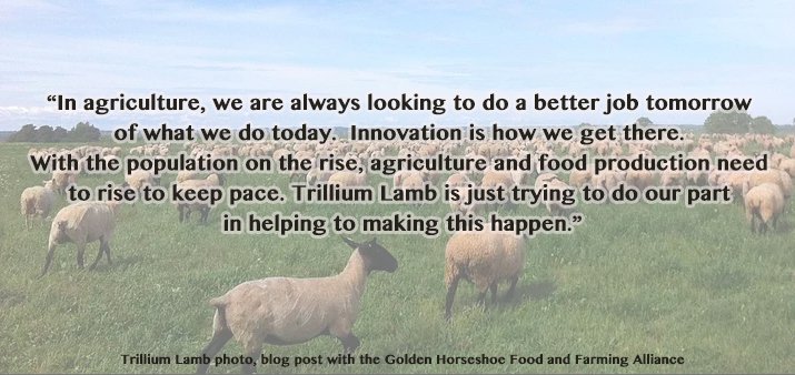 We spoke with Award-Winning <a href="/TrilliumLamb/">Trillium Lamb</a> about Innovation in Agriculture: foodandfarming.ca/trillium-lamb-… #Traceability #FoodSafety #innovativeag
