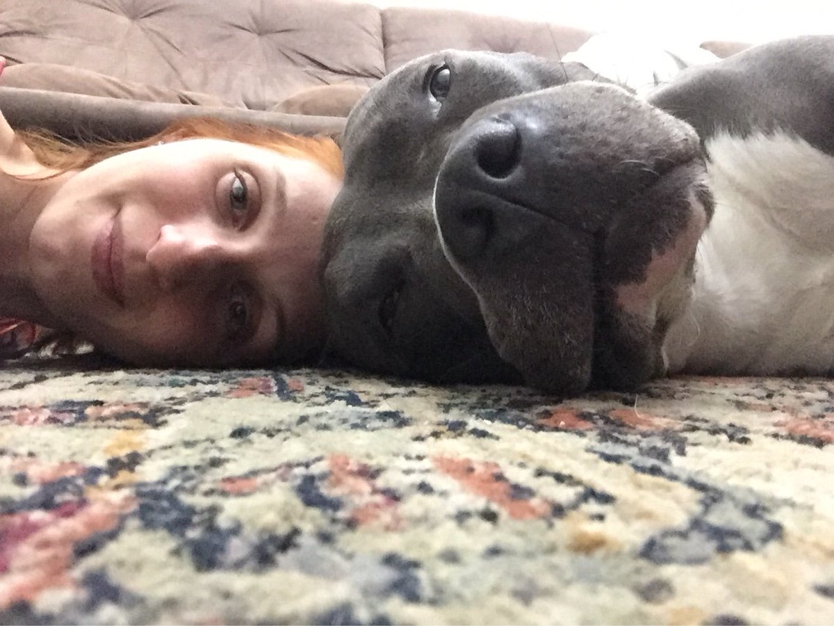 gabiefernandes's tweet photo. 🐶❤ https://t.co/3mmxZK1vyG