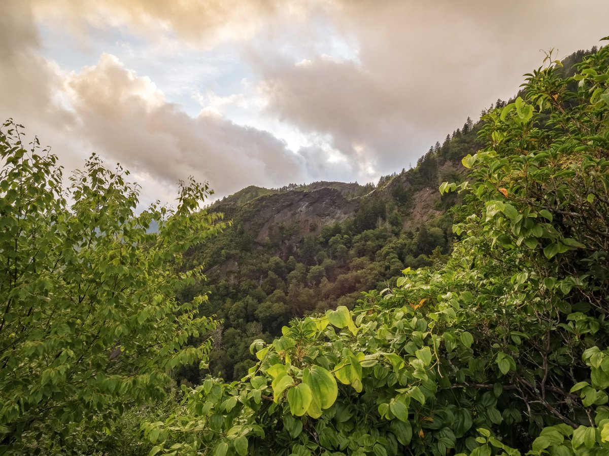 GreatSmokyNPS tweet picture