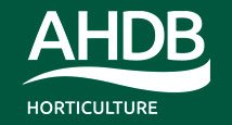 AHDB_Hort's tweet photo. Alternative active agents in the pipeline following withdrawal of #linuron, learn more: https://t.co/xIVbpHDDox https://t.co/lMZd1n45xW