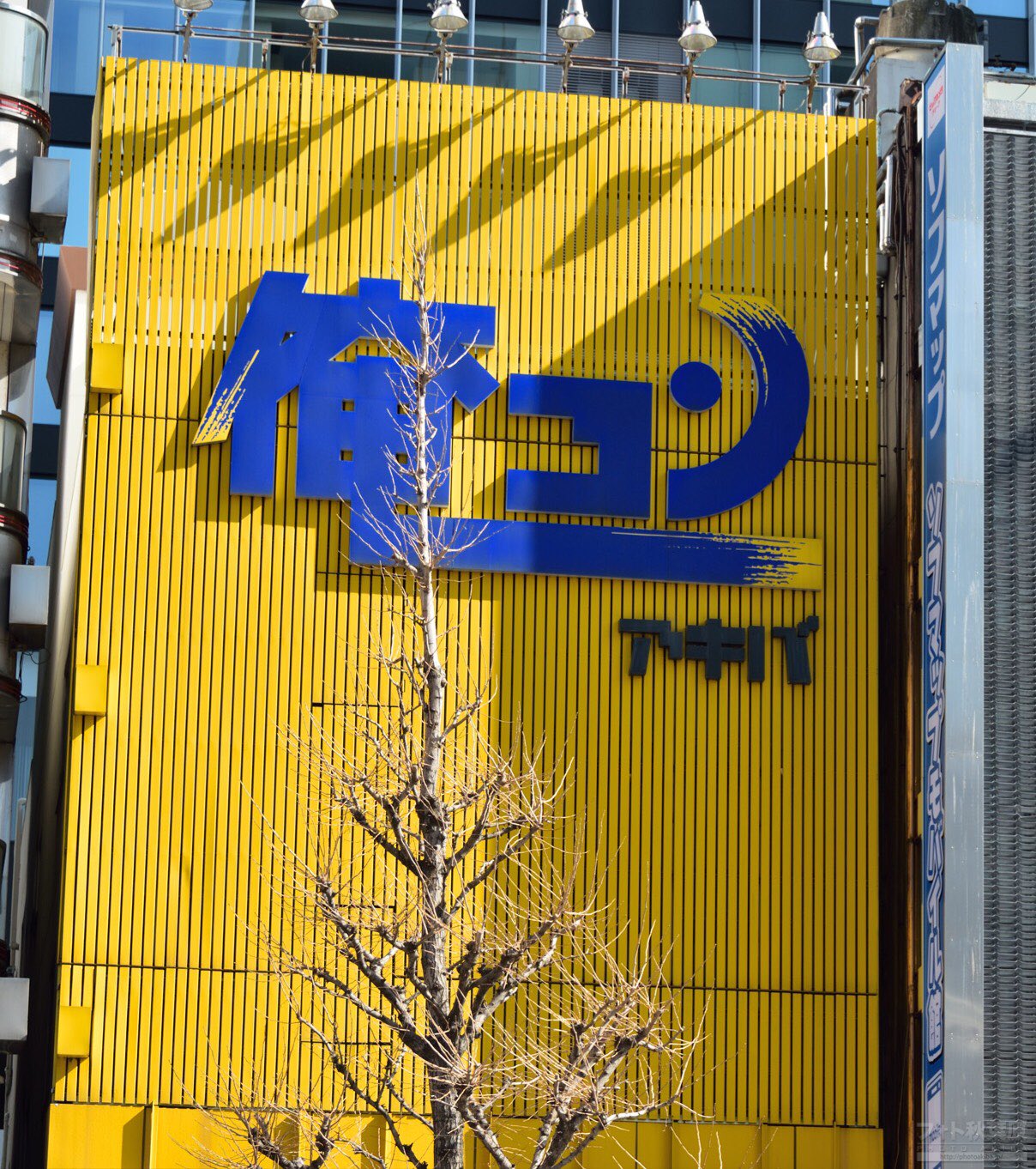 フォト秋葉原 on X: 