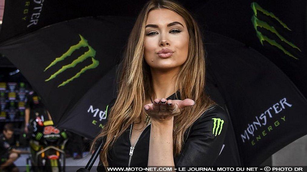 MotoNetCom's tweet photo. L'umbrella girl la plus #sexy du #QatarGP 2017 https://t.co/TBlqNjtncE #GoZarco ! https://t.co/z88HGRTFL2