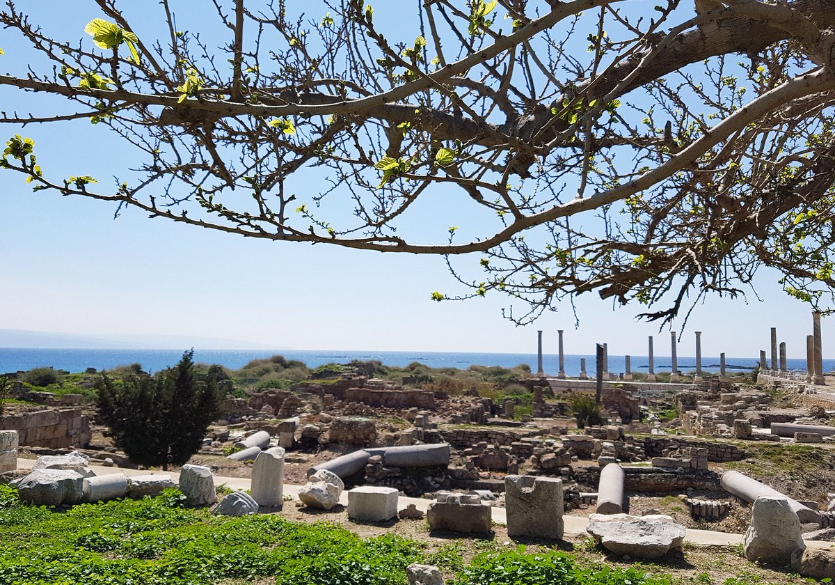 lorenzoborgia's tweet photo. #ruins #ancientrome #archeo #archeology #tyr #tyre #lebanon #History  #archeologia #tiro #libano
#ilovelebanon #mediyerranen #sea #unesco https://t.co/T1GhhKgAAZ