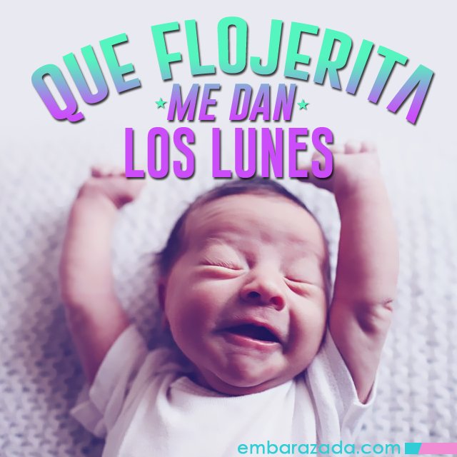 Embarazada.com tweet media