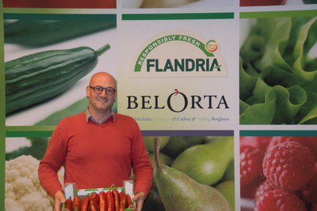 Eerste <a href="/SweetPalermo/">SweetPalermo</a> puntpaprika's geveild bij <a href="/VeilingBelOrta/">BelOrta</a> Voor komend jaar verdubbeling van areaal verwacht bit.ly/2ooGOwB