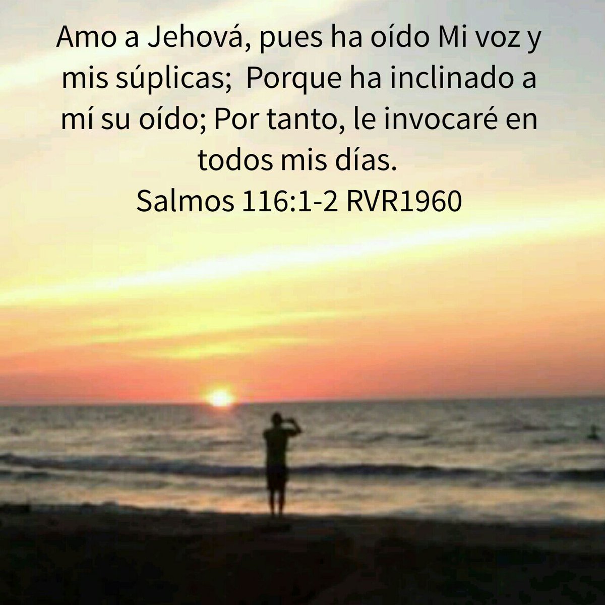 lalyChristian's tweet photo. Para ti ❤😇👏 https://t.co/U6qqzvZg4m