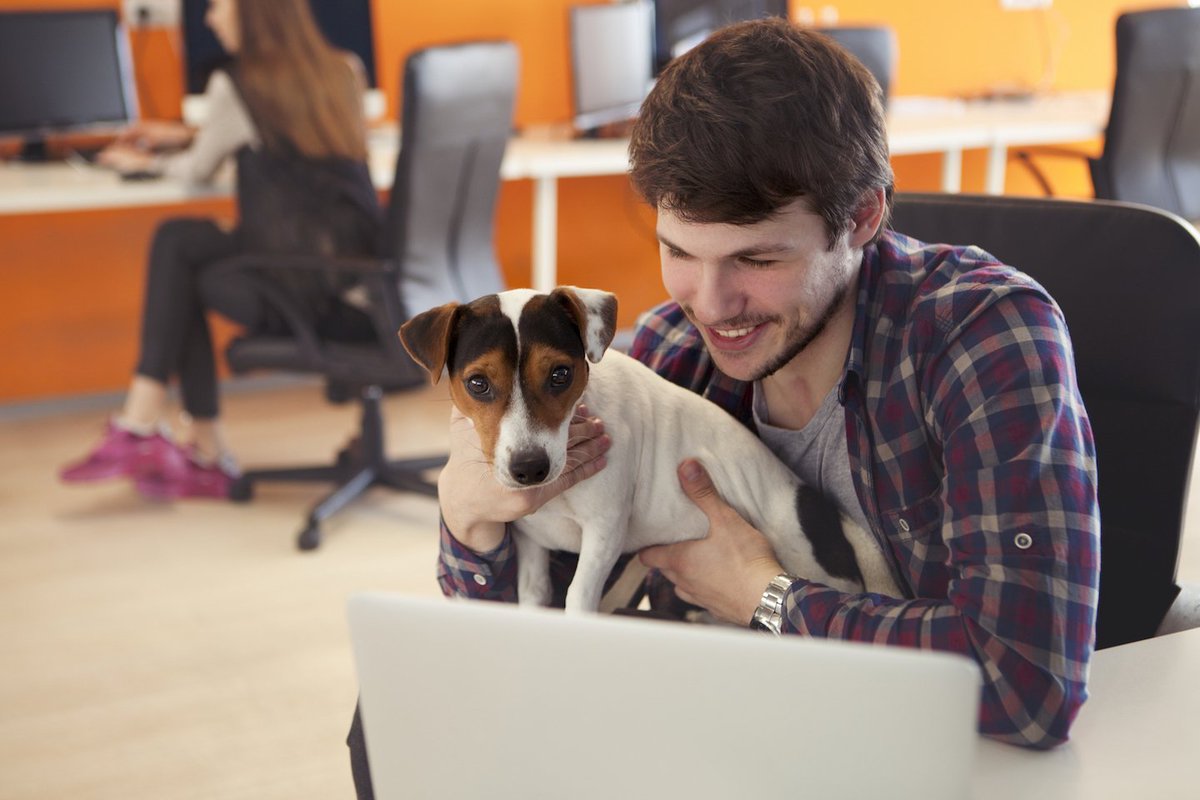 networkhrjobs's tweet image. Should you take your pet to work?
#HR
bbc.co.uk/news/business-…