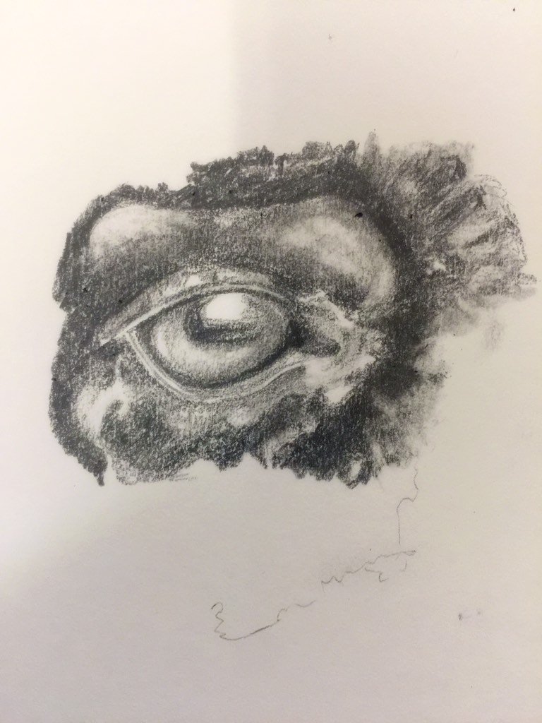 DarcieDDD's tweet photo. Starting a new drawing... want to see more?  Find me on Instagram! #artist #progress https://t.co/GcBwHBErQf