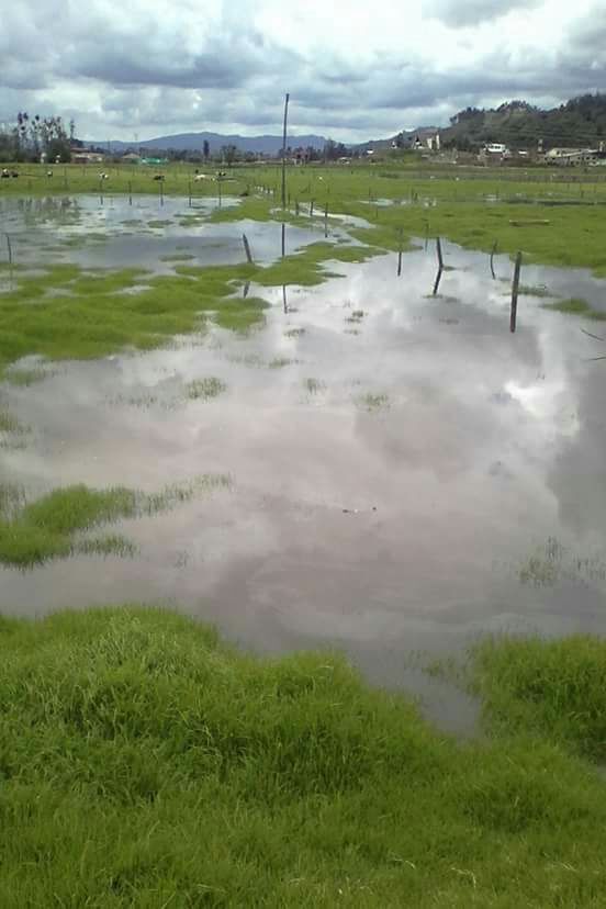 NCTNOTICIAS's tweet photo. Las lluvias incrementan en #Boyacá, se afecta principalmente el occidente del Departamento. Campos inundados y un panorama preocupante https://t.co/VZ6QVqCfAw