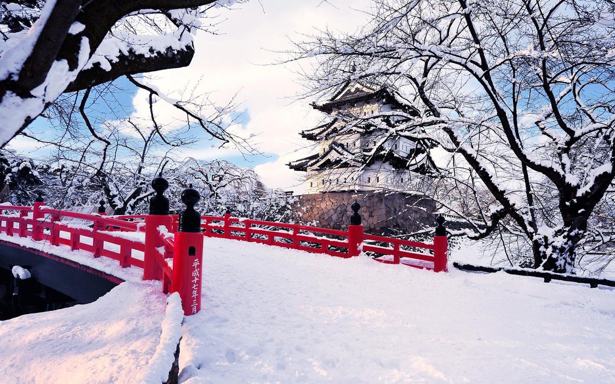 wikifrio's tweet photo. Winter in Japan ❄ https://t.co/ANx75k5moI