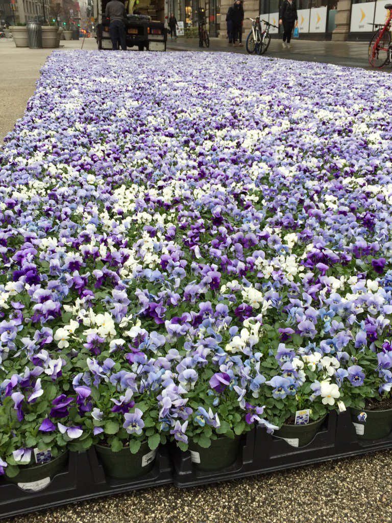 KeithLipstein's tweet photo. A sure sign of spring at the Flatiron. https://t.co/cZ7nlNiNoI