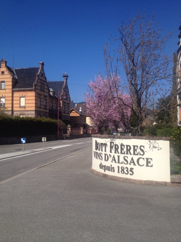 DOMAINE BOTT FRERES tweet media