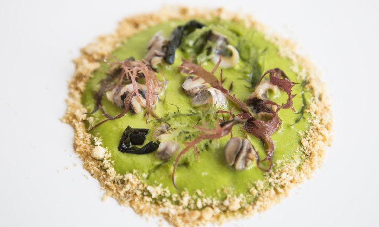 Nell'Insalatina di garusoli di <a href="/Felixlobasso/">Felice Lo Basso</a> c'è tutta la capacità di cucinare al momento. Essenziale nel mestiere identitagolose.it/sito/it/44/165…