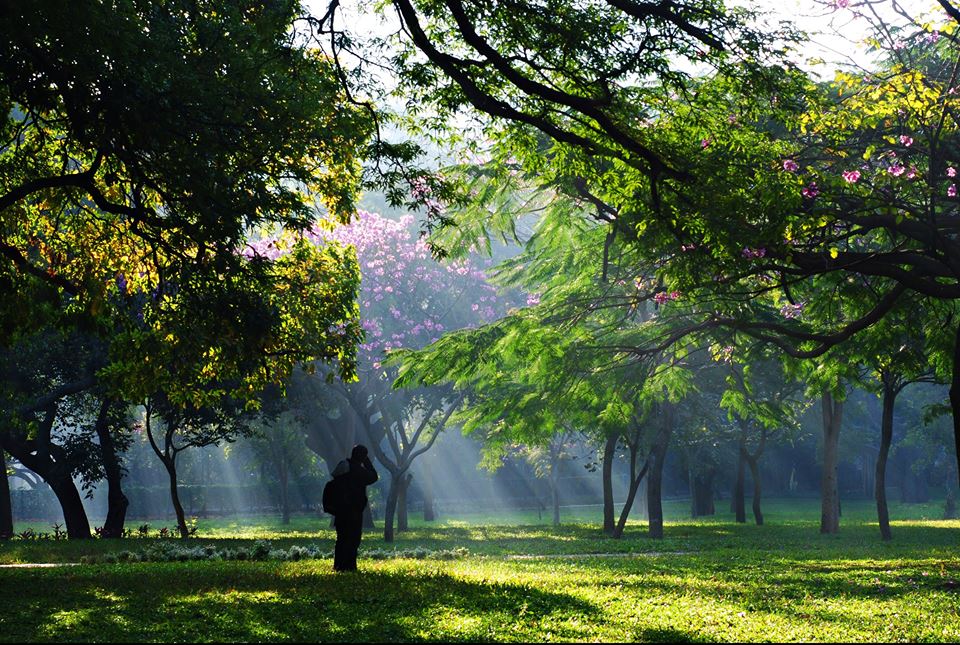 lonelyplanet_in's tweet photo. Have you been to Cubbon park in Bengaluru?

Image by: Ramesh Krishnan https://t.co/hWPsZpsFiZ