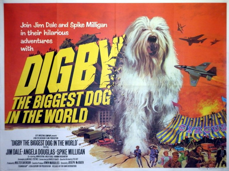 omobono_digital's tweet image. Discussion at work about 70s films that deserve to be remade.
This was my choice. bit.ly/2mI7BYl
#70sremakes #remakedigby