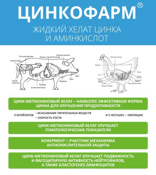 Цинкофарм - корм. добавка для нормализации минерального и белкового обмена, повышения продуктивности ... rkorma.ru/product/zinkof…