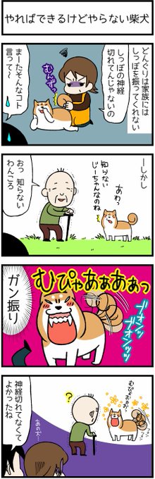 ドヤ顔柴犬どんぐり を含むマンガ一覧 いいね順 2ページ ツイコミ 仮 ドヤ顔柴犬どんぐり を含むマンガ一覧 いいね順 2ページ ツイコミ 仮