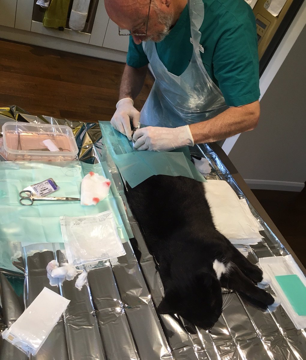 Good to know the #Henley Mobile Veterinary Service has passed its compulsory Government inspection to a high standard.