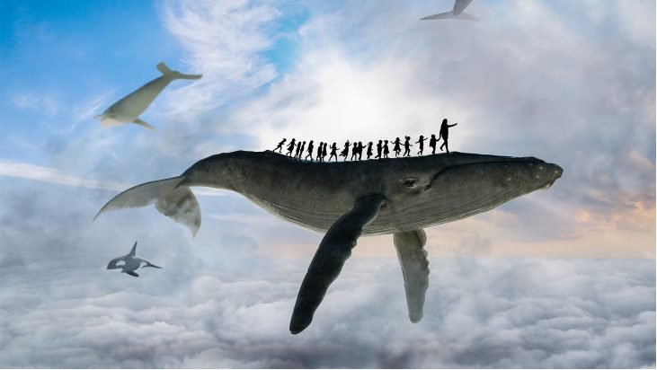 How can bussinesses give us a a way to make a better future? HTC explores how creativity can change the world bit.ly/2nXHDzD