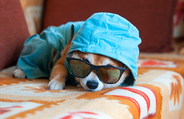 Can smiling help you get past the "Monday morning blues?" Check out these Monday morning tips for a productive week. dailyburn.com/life/lifestyle…