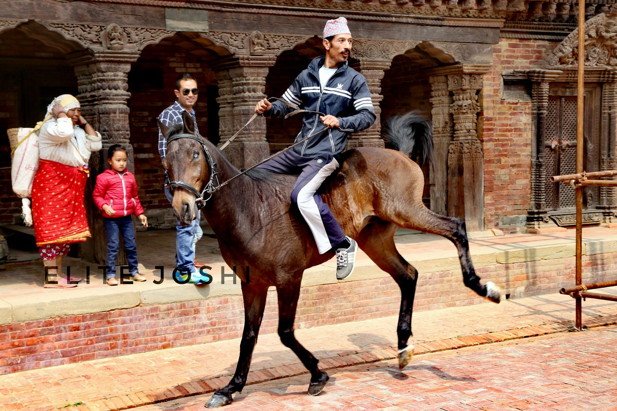 Elite Joshi tweet media