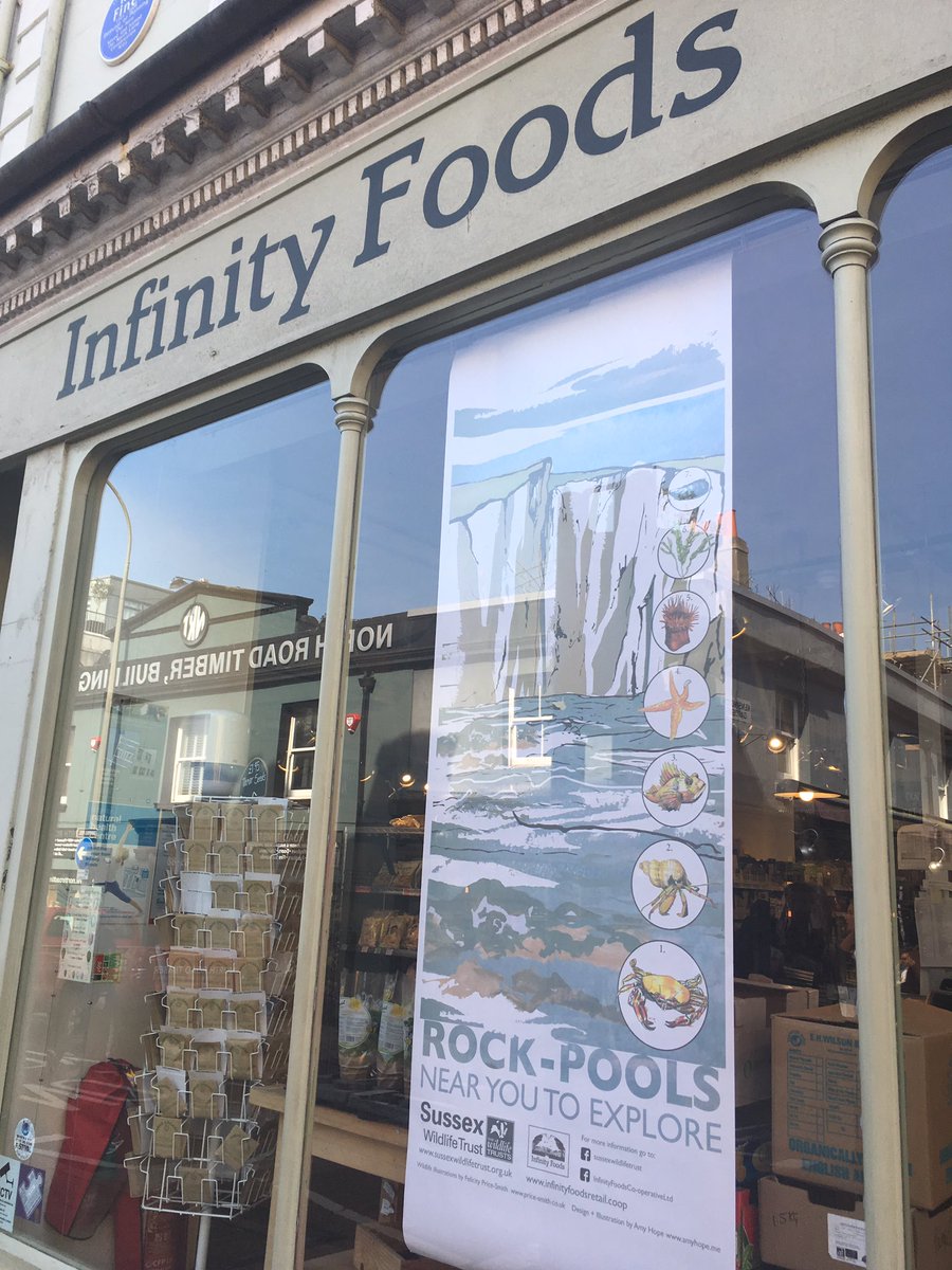 claire potter tweet media