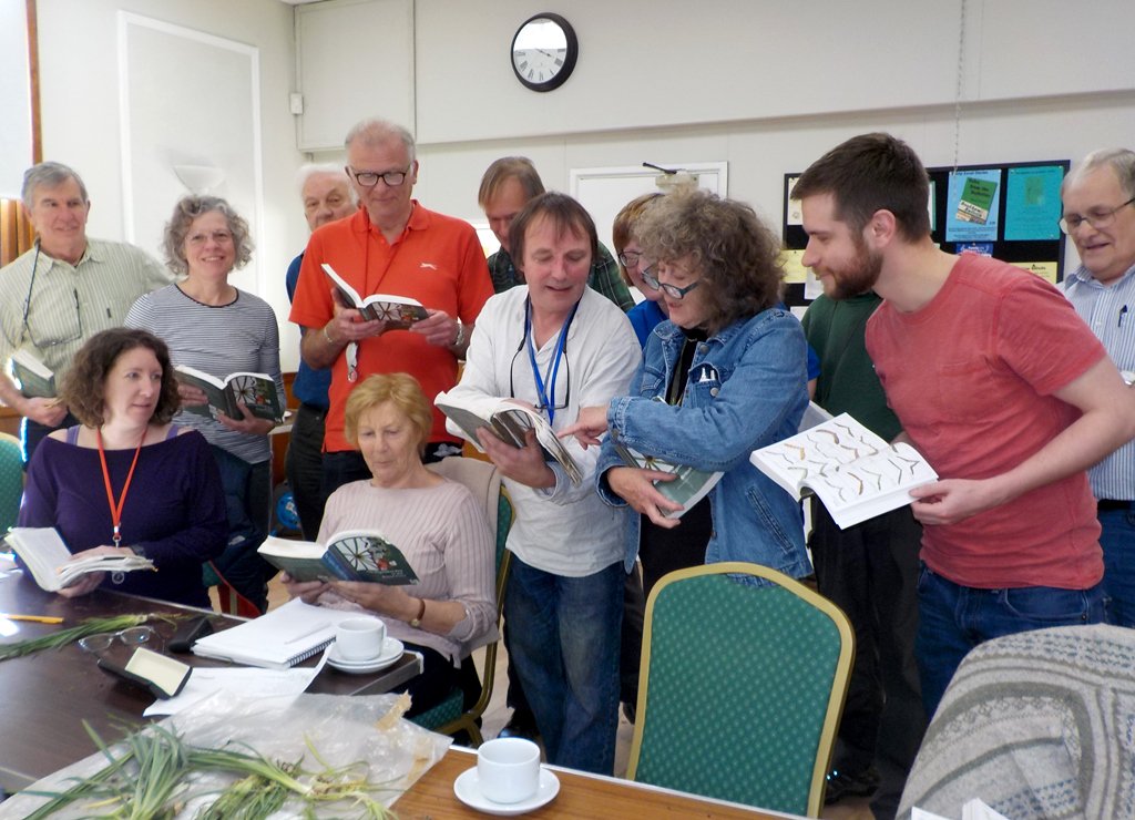 drmgoeswild's tweet photo. Before and after serious Poaceous study with the #VegKey @SurreyBotany and @drmgoeswild @BSBIbotany @KewScience @vorontsovams @NHM_London https://t.co/EbFGLcnov9