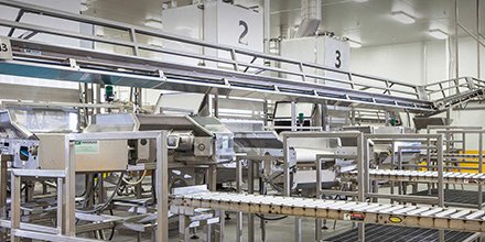 AndgarFood's tweet photo. Our food processing units are found all the way from Canada to Chile. We custom build to meet your demands. #FastForwardFreshFood https://t.co/YIfYtpjh1s