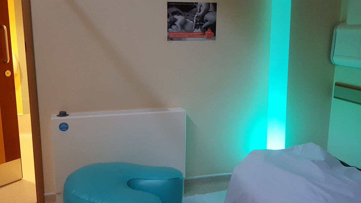 smolyneux9's tweet photo. Our @bloodtobaby posters in our birth rooms as part of our #wait4white campaign. @HinchMidwives @researchMWs @GallyHJ @optimalclamping https://t.co/qgZS6DvhmX