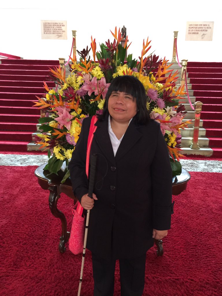 Rosario Galarza will address today over 70 member states and call on them to include pwd in national consultations on #SDGs implementation!