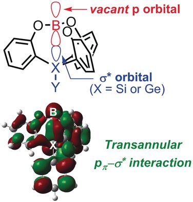 ChemEurJ's tweet photo. #LewisAcidity by #Transannular #PiInteraction between #Boron and #Silicon/#Germanium @osaka_univ_e https://t.co/yxM7uJ74UW https://t.co/HZS3N9ONjd