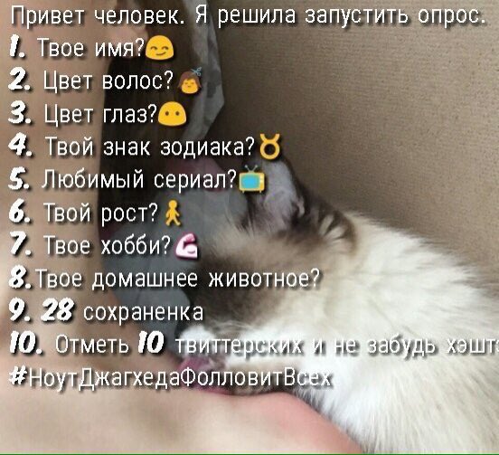 _V_Shenka's tweet photo. От @fan_main 
1 Даша
2 Коричневые 
3 Каре-серо-голубо-зеленые, во
4 Дева
5 Дорамки смотрю
6 158
7 Вокал
8 Нету у меня его😢
9 https://t.co/NVpMwsXfxE