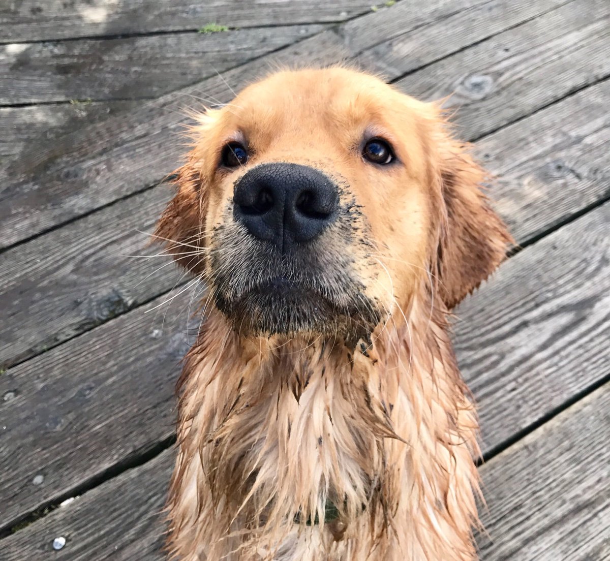 Meninist tweet media