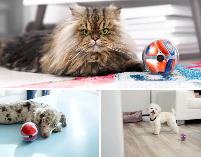 CoolShtufff's tweet photo. Pebby: The Most Advanced Smart Ball! Play Anytime, Anywhere https://t.co/NxqWrxBNUD https://t.co/eo9ZFYpIXY