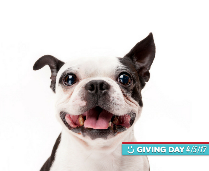 BU Parents Program tweet media