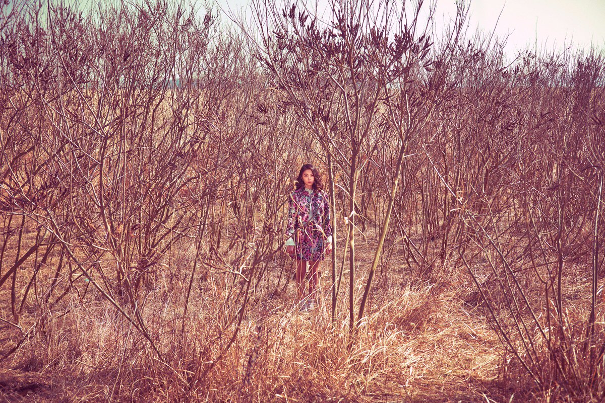 7_DREAMERS tweet picture